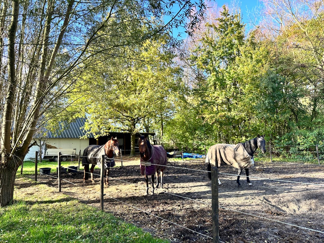 Foto 8 van Hulsterseweg 33