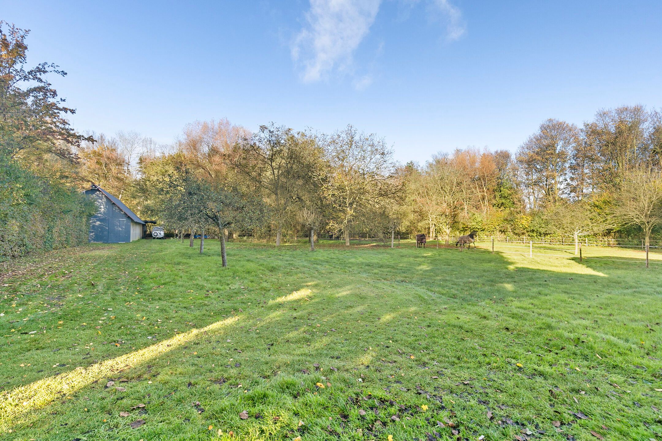 Foto 30 van Hulsterseweg 33