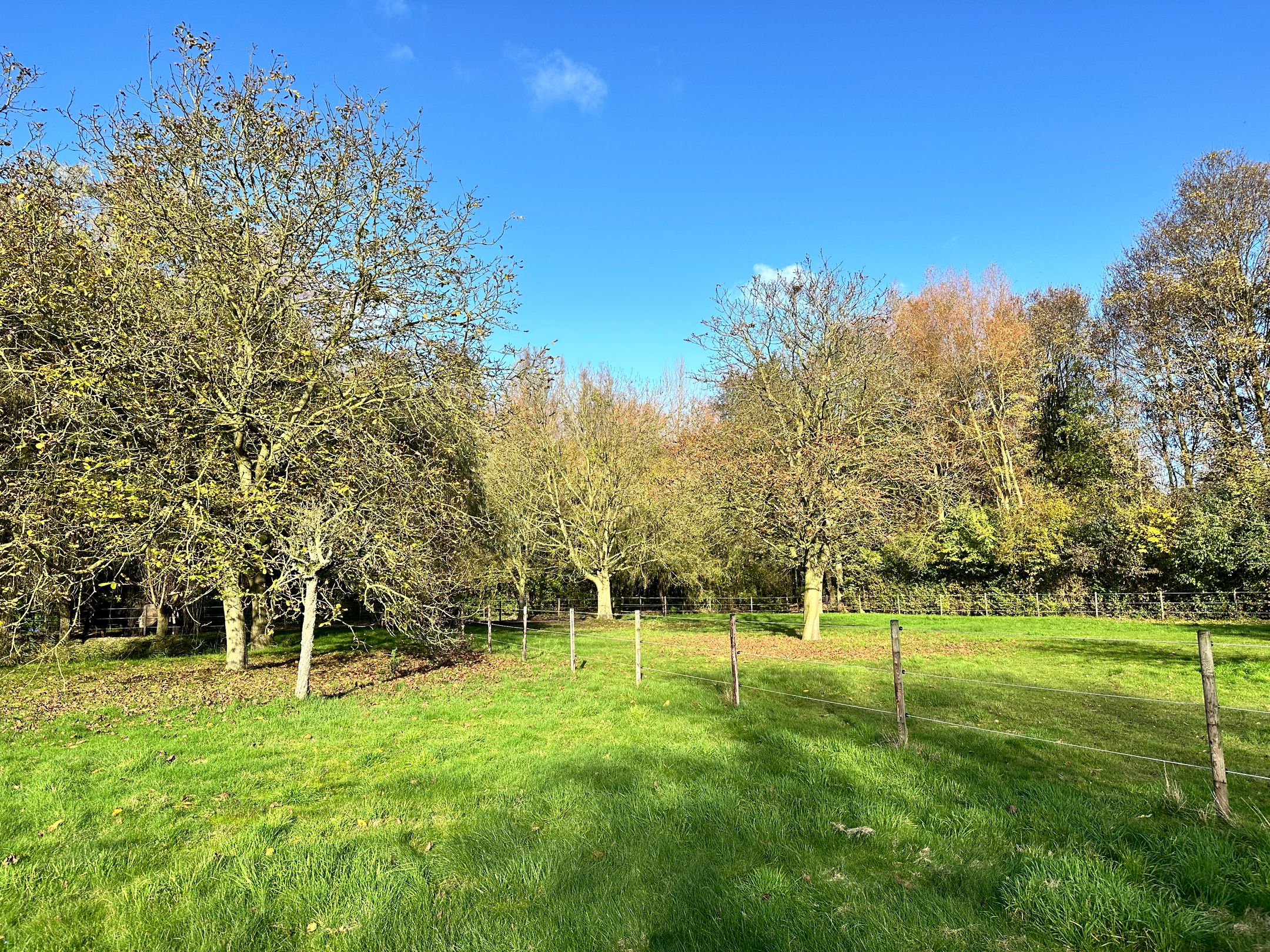 Foto 33 van Hulsterseweg 33