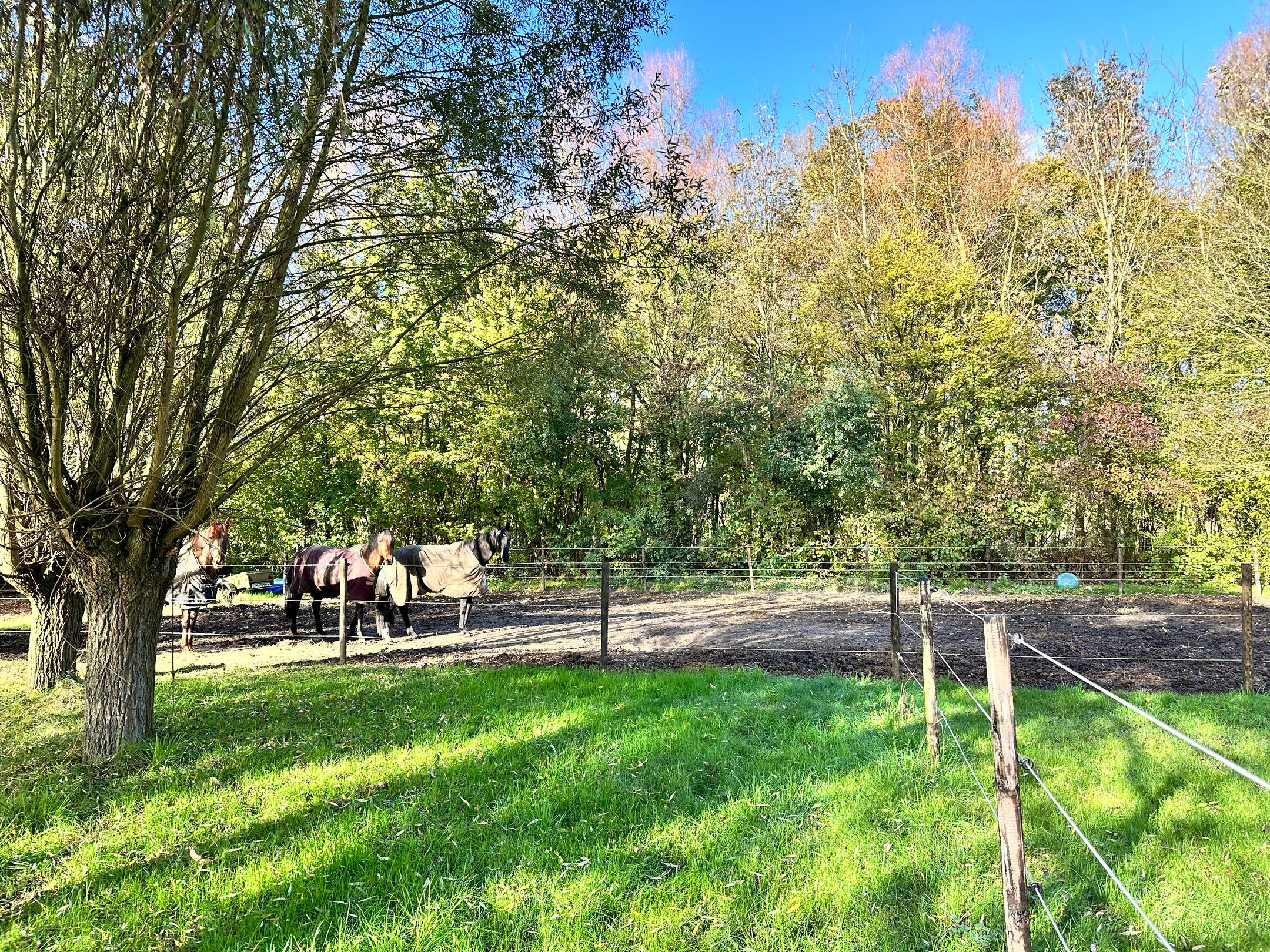 Foto 36 van Hulsterseweg 33