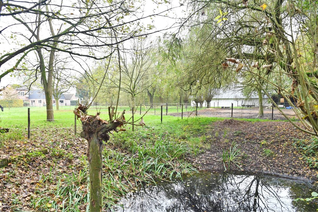 Foto 37 van Hulsterseweg 33