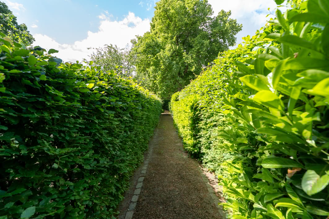 Foto 72 van Groenplein 9