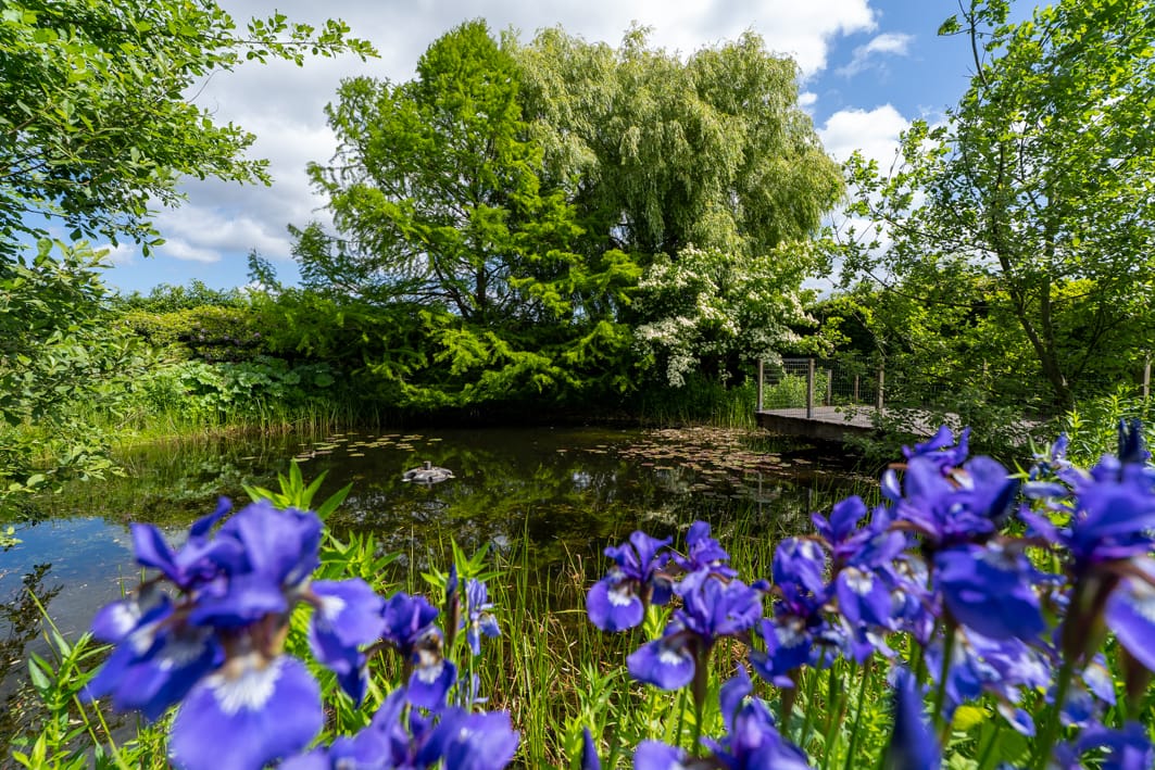 Foto 76 van Groenplein 9