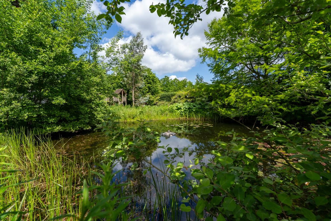 Foto 77 van Groenplein 9