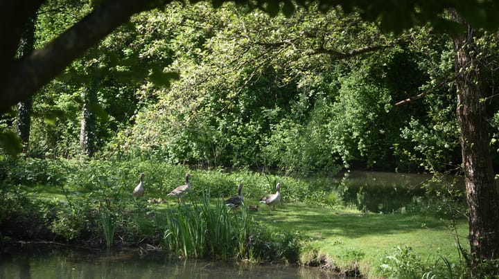 Photo 59 of Kapershof 27