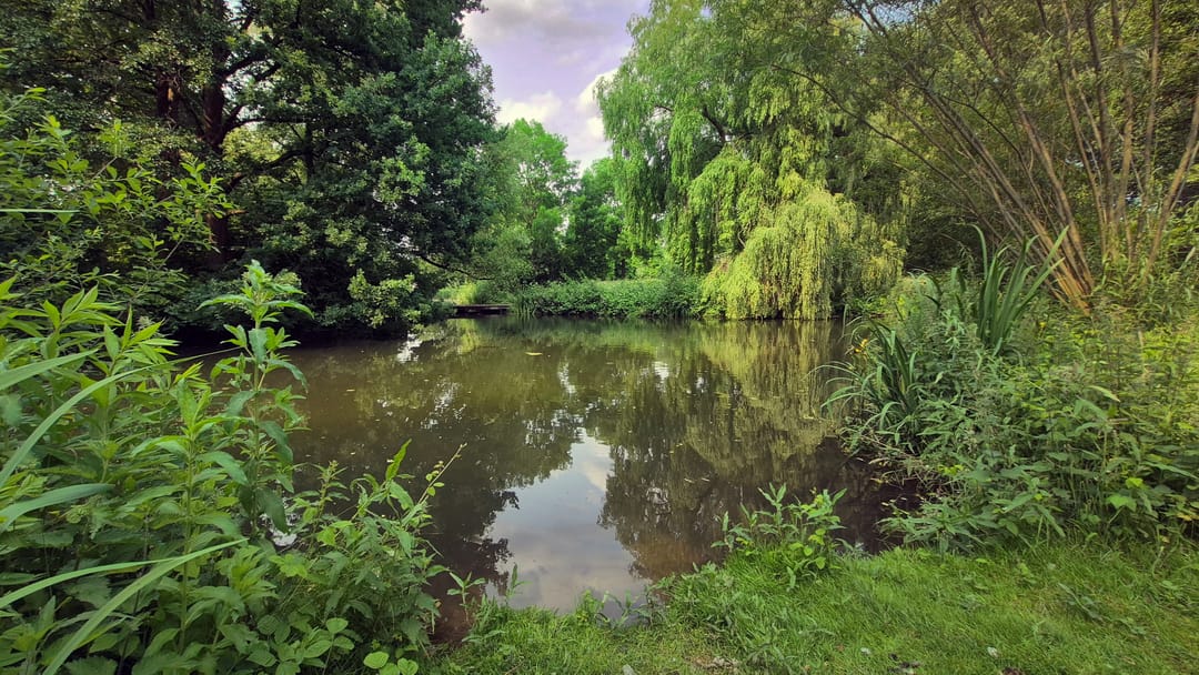 Foto 61 van Kapershof 27