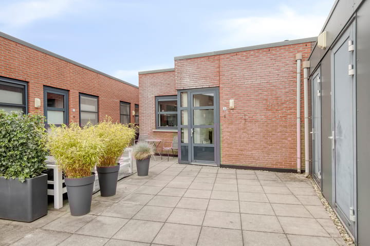 Foto 2 van Zandoogje 16