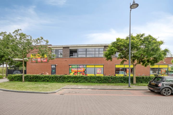 Foto 23 van Zandoogje 16