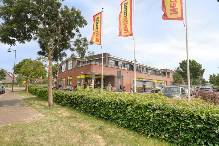 Foto 24 van Zandoogje 16