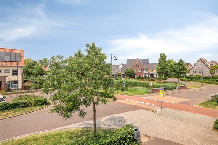 Foto 26 van Zandoogje 16