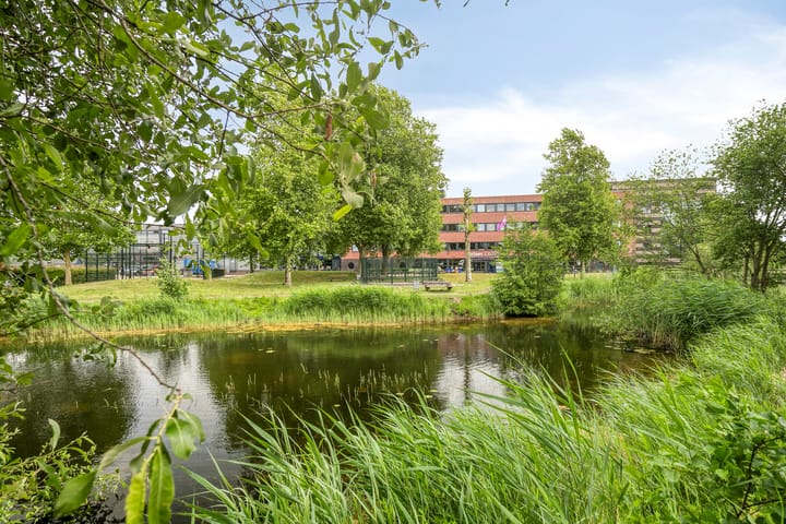 Foto 28 van Zandoogje 16