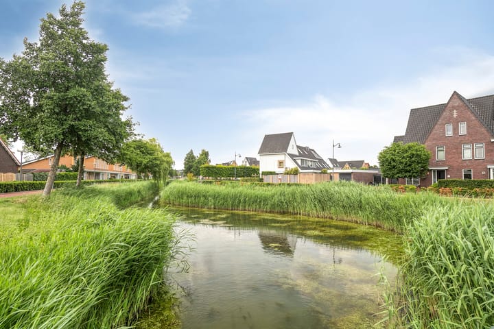 Foto 27 van Zandoogje 16