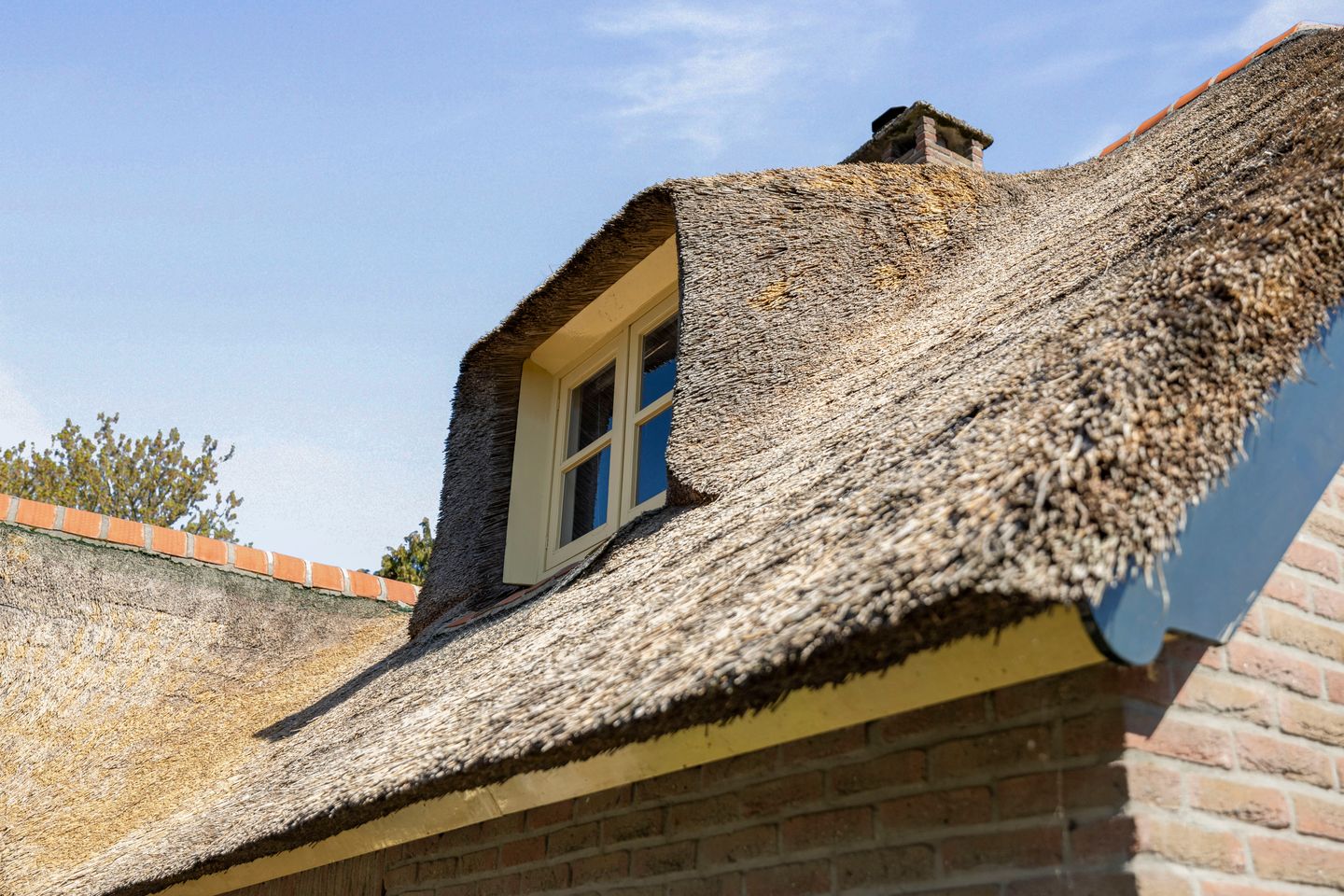 Foto 29 van Kletterstraat 11