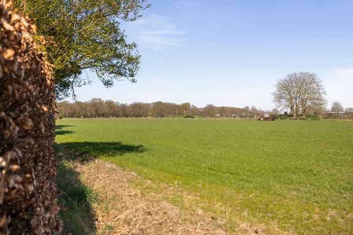 Foto 31 van Kletterstraat 11