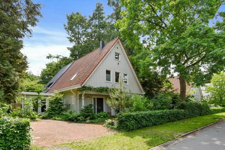 Foto 2 van Hazenloop 15