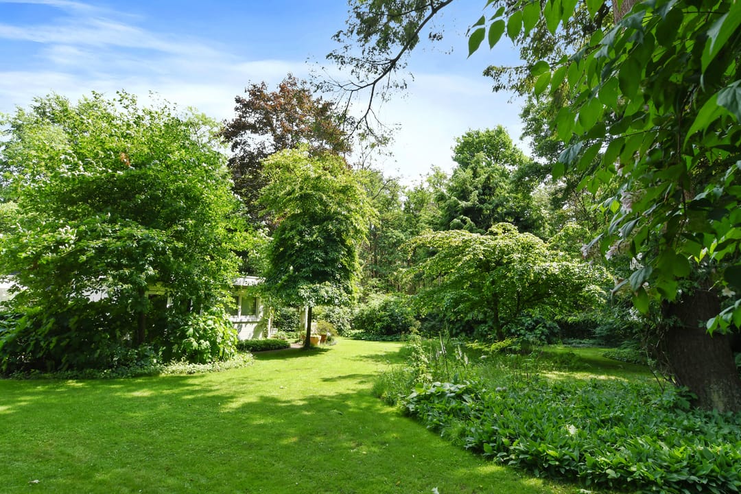 Foto 41 van Hazenloop 15