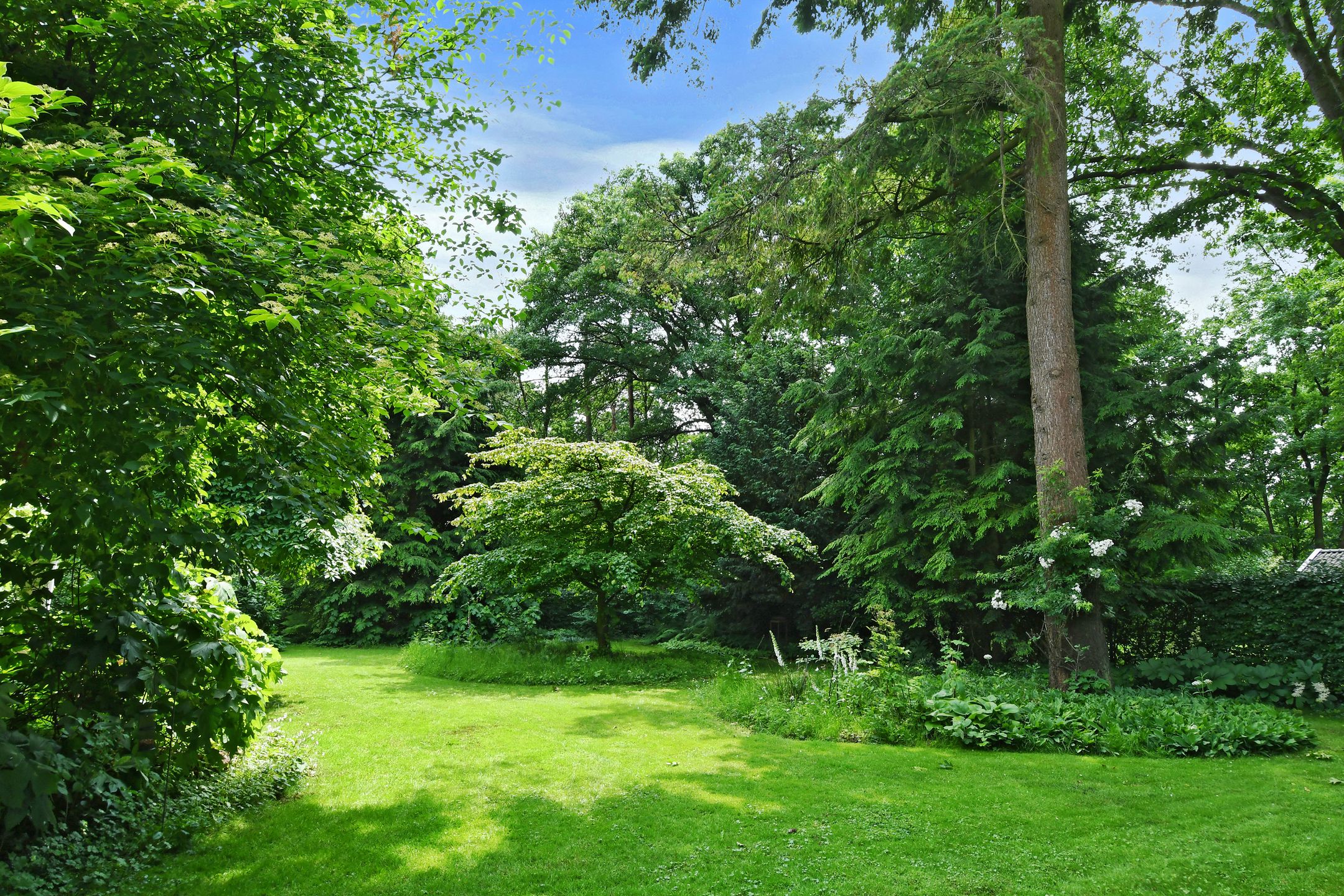 Foto 42 van Hazenloop 15