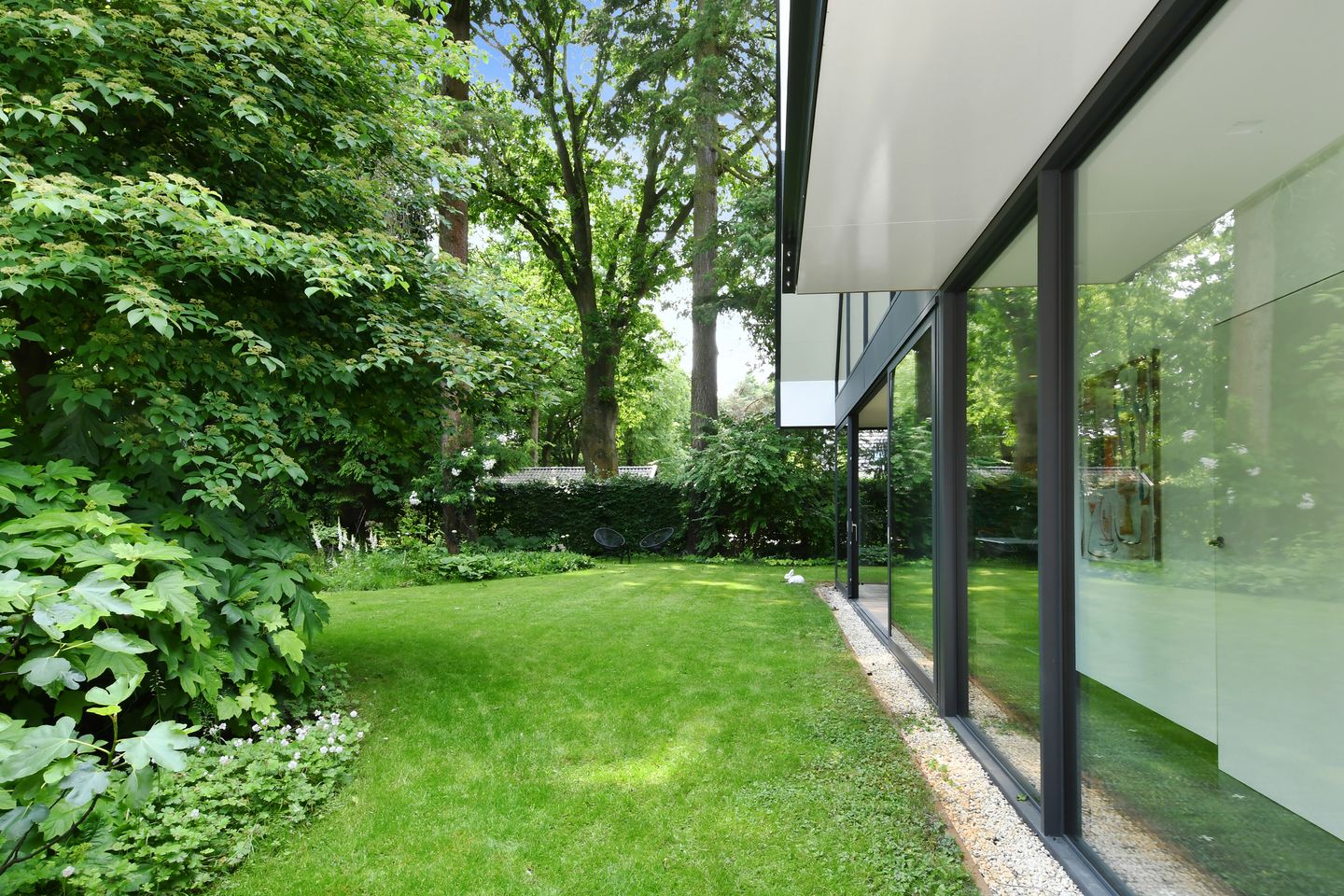 Foto 44 van Hazenloop 15