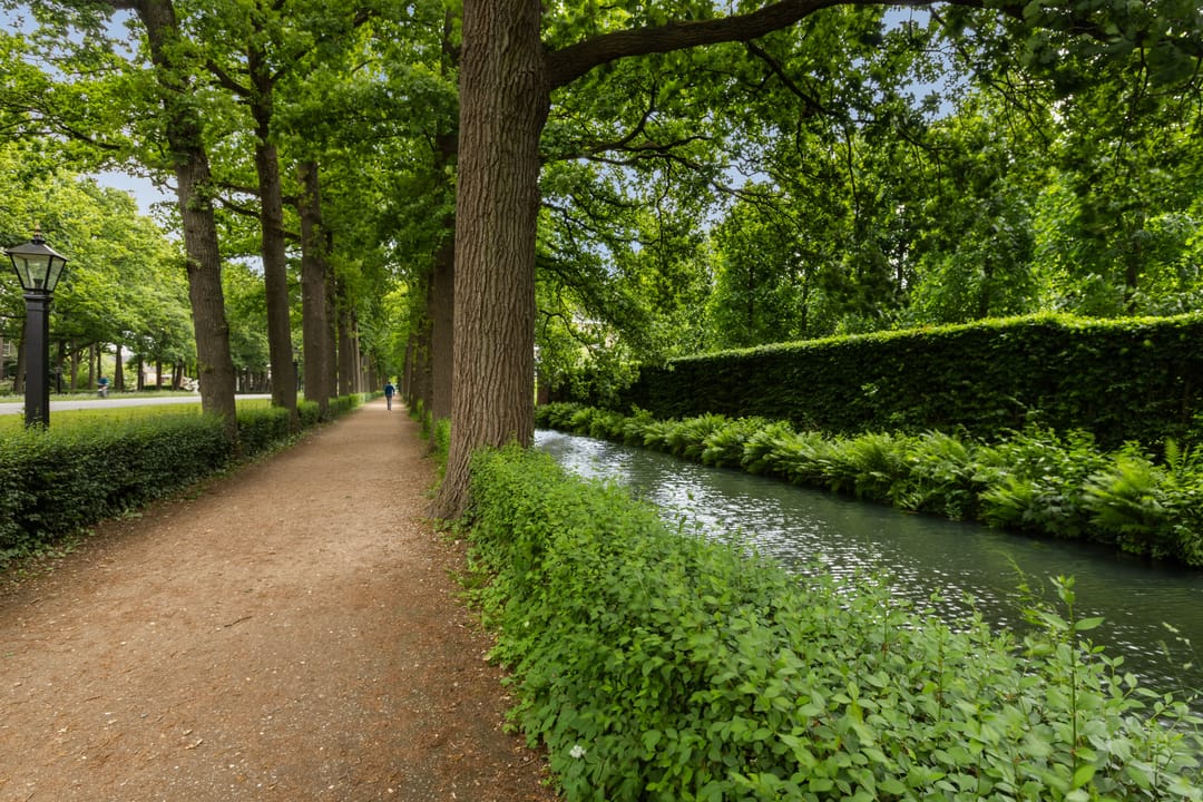 Foto 41 van Tuin van Schellinger 42