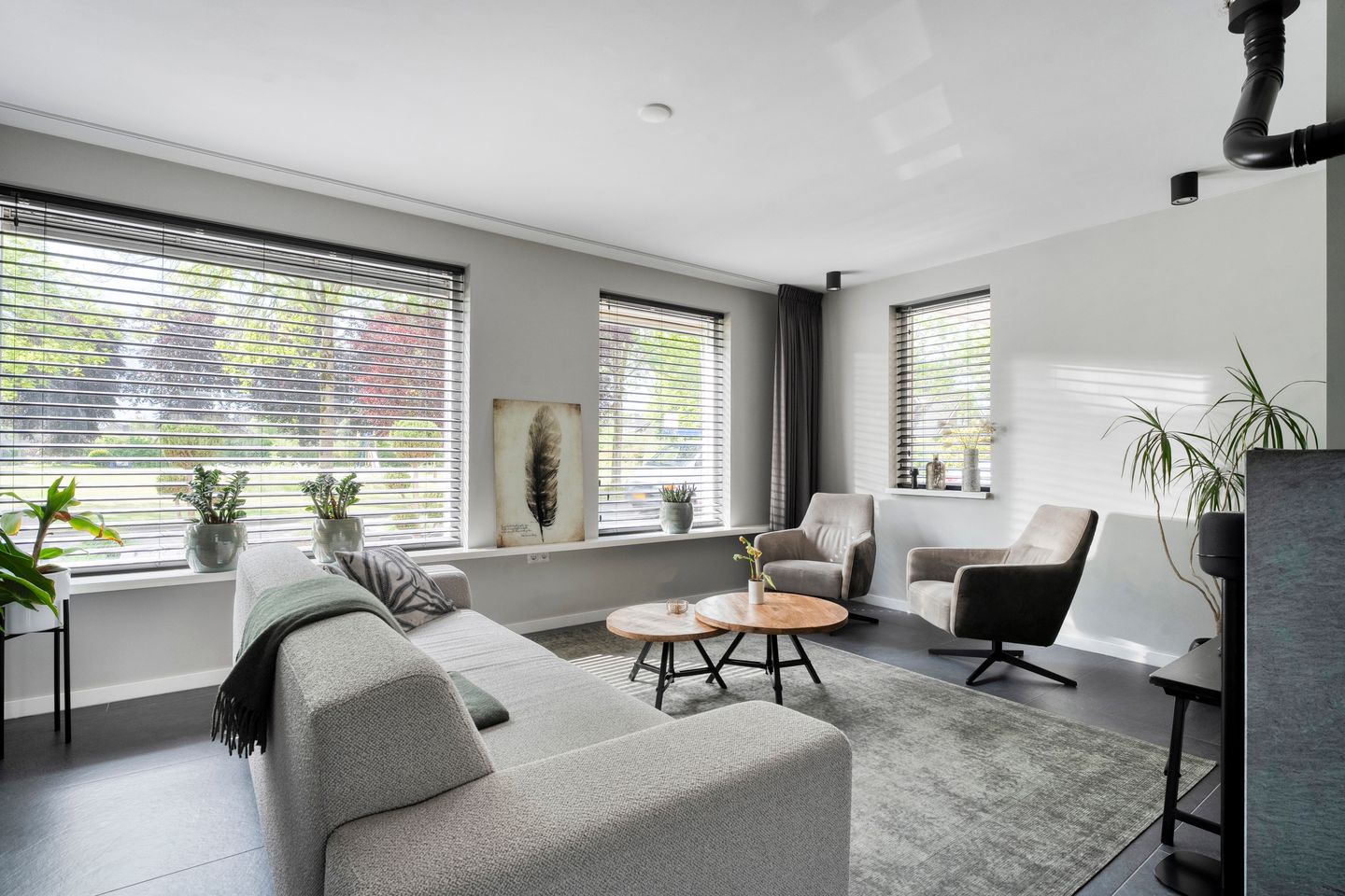 Foto 4 van Hoefblad 36