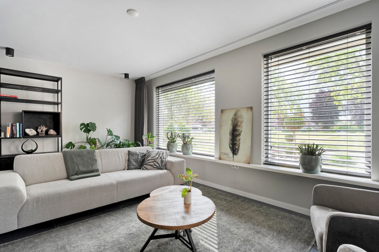 Foto 5 van Hoefblad 36