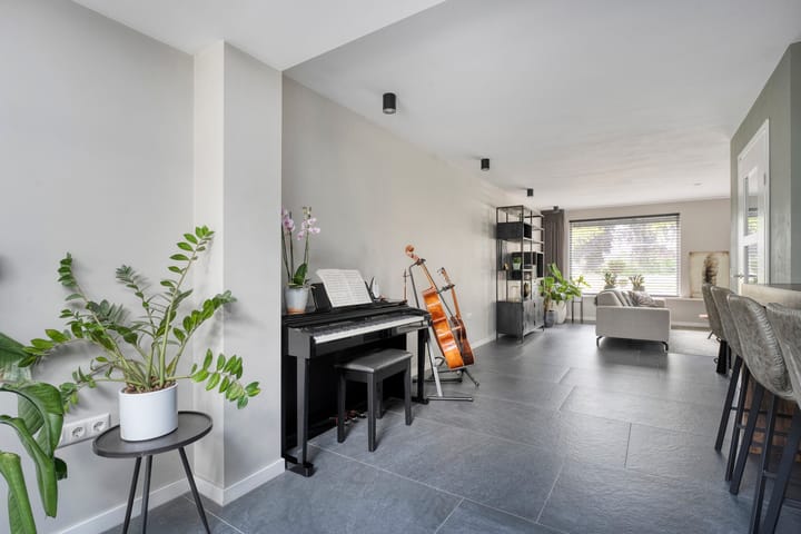 Foto 18 van Hoefblad 36