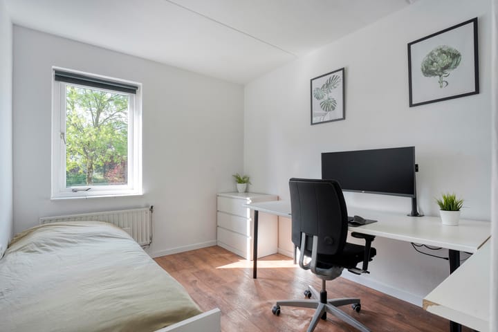 Foto 25 van Hoefblad 36