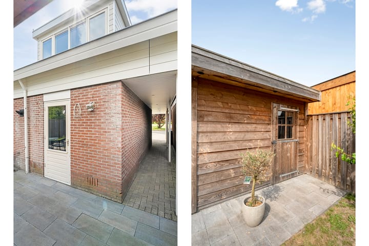 Foto 44 van Hoefblad 36