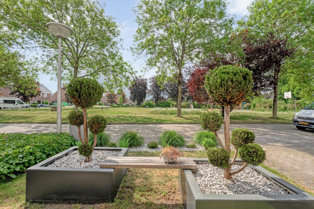 Foto 46 van Hoefblad 36