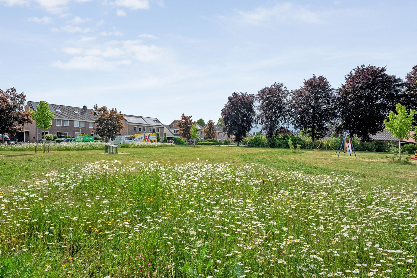 Foto 49 van Hoefblad 36