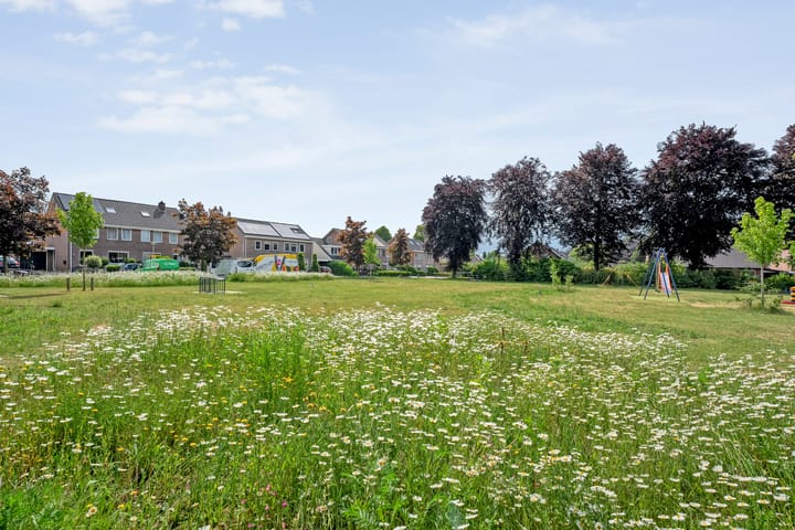 Foto 49 van Hoefblad 36