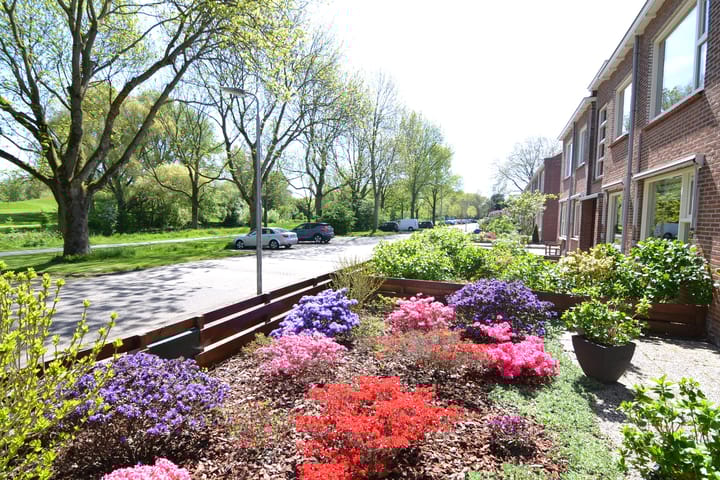 Foto 2 van Schieringerweg 91-B