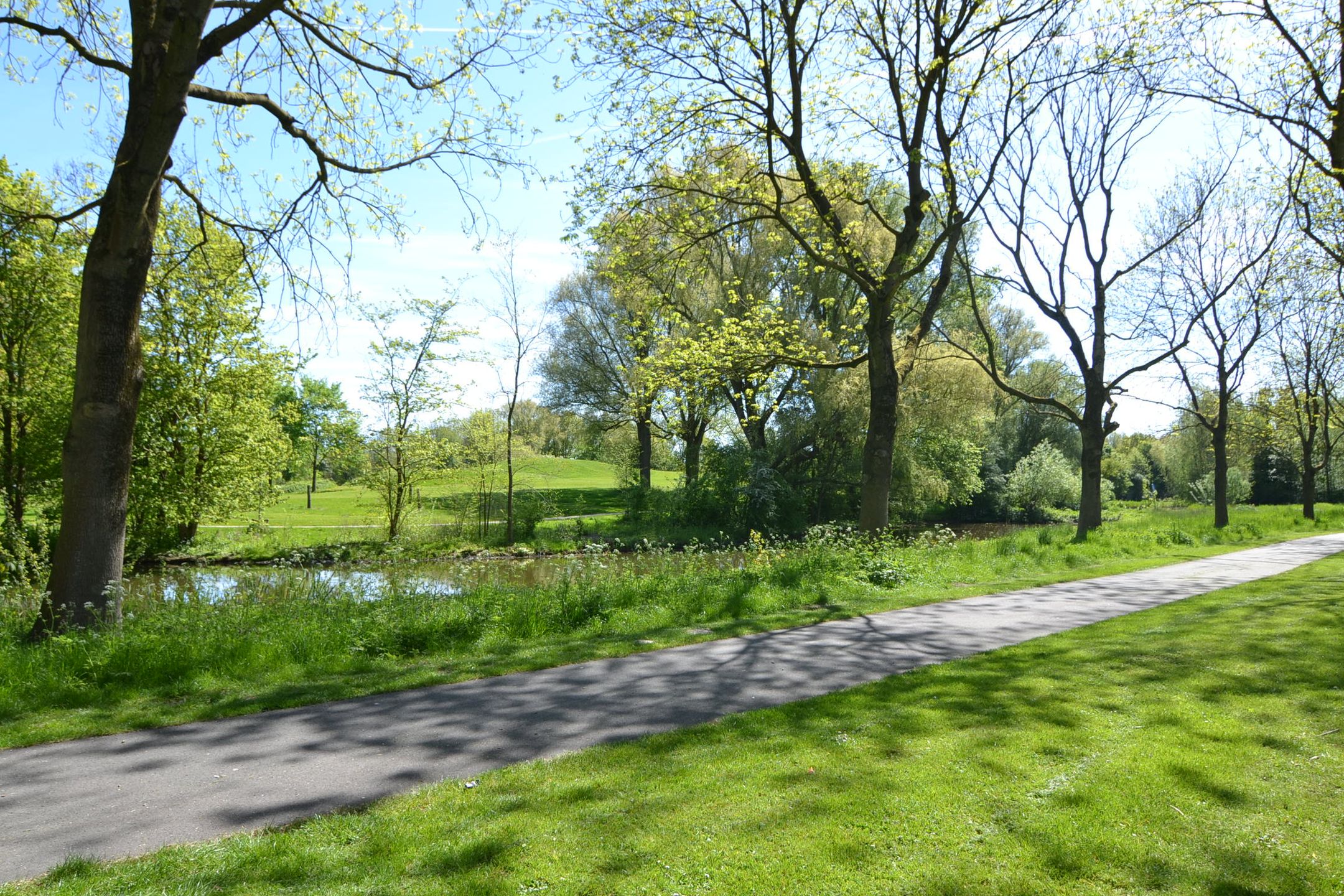 Foto 15 van Schieringerweg 91-B