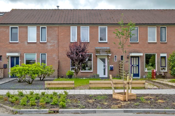 Foto 2 van Laan van Havezathen 16