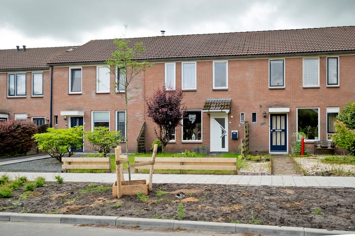 Foto 3 van Laan van Havezathen 16