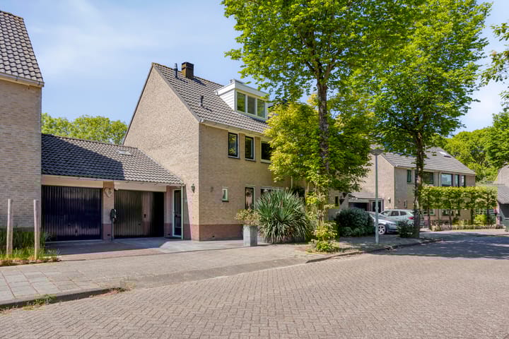 Foto 30 van Braspenningstraat 100