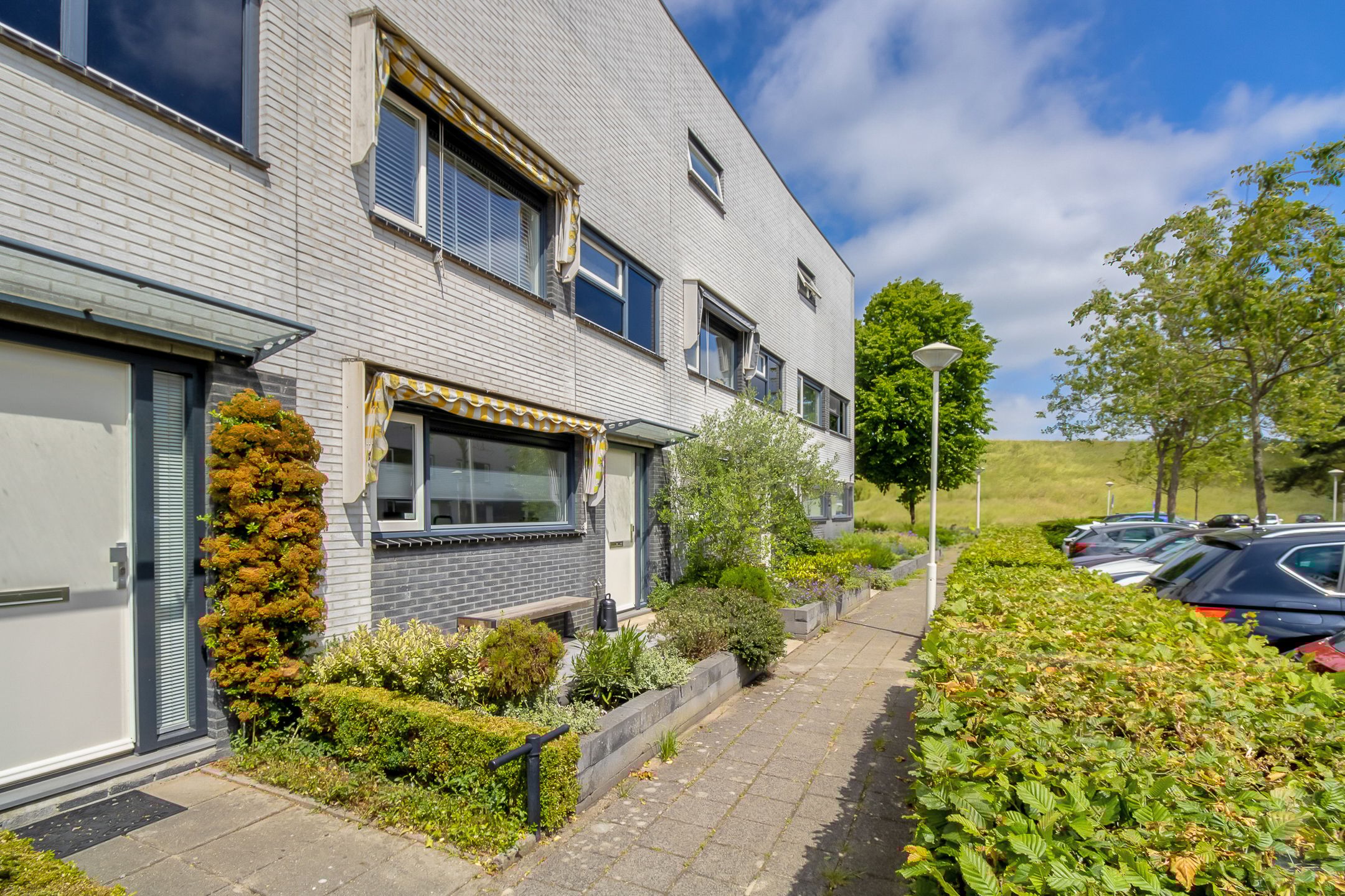 Foto 3 van Amaranthout 5