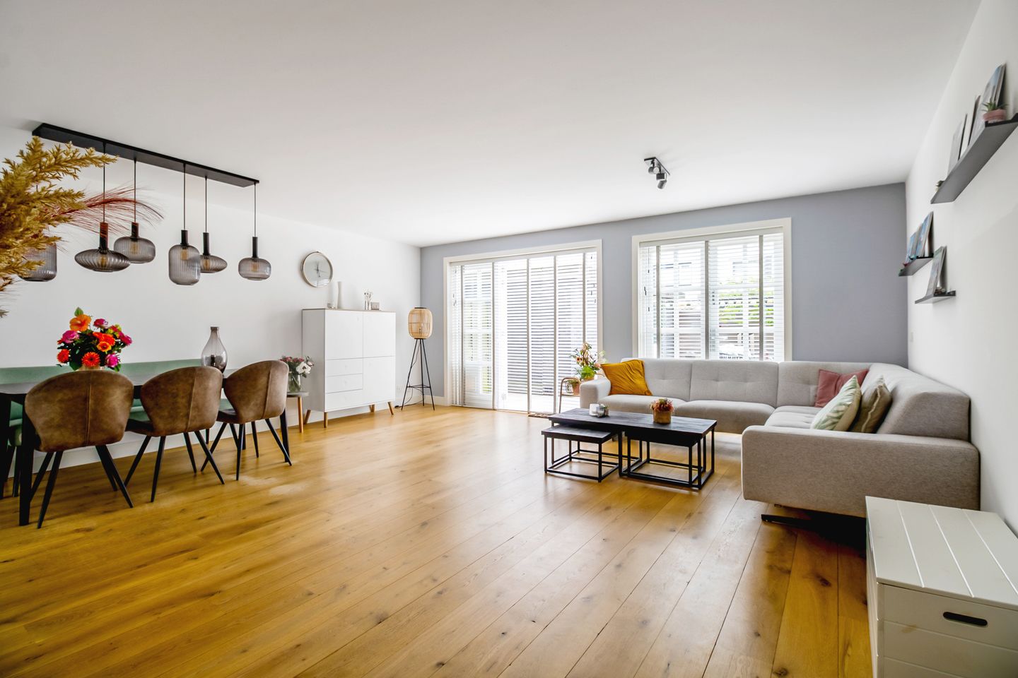 Foto 4 van Amaranthout 5