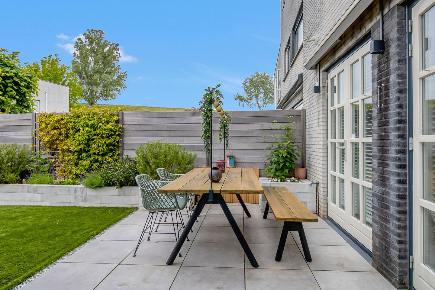 Foto 10 van Amaranthout 5