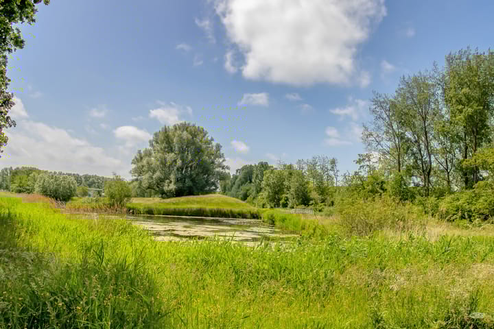 Foto 38 van Amaranthout 5