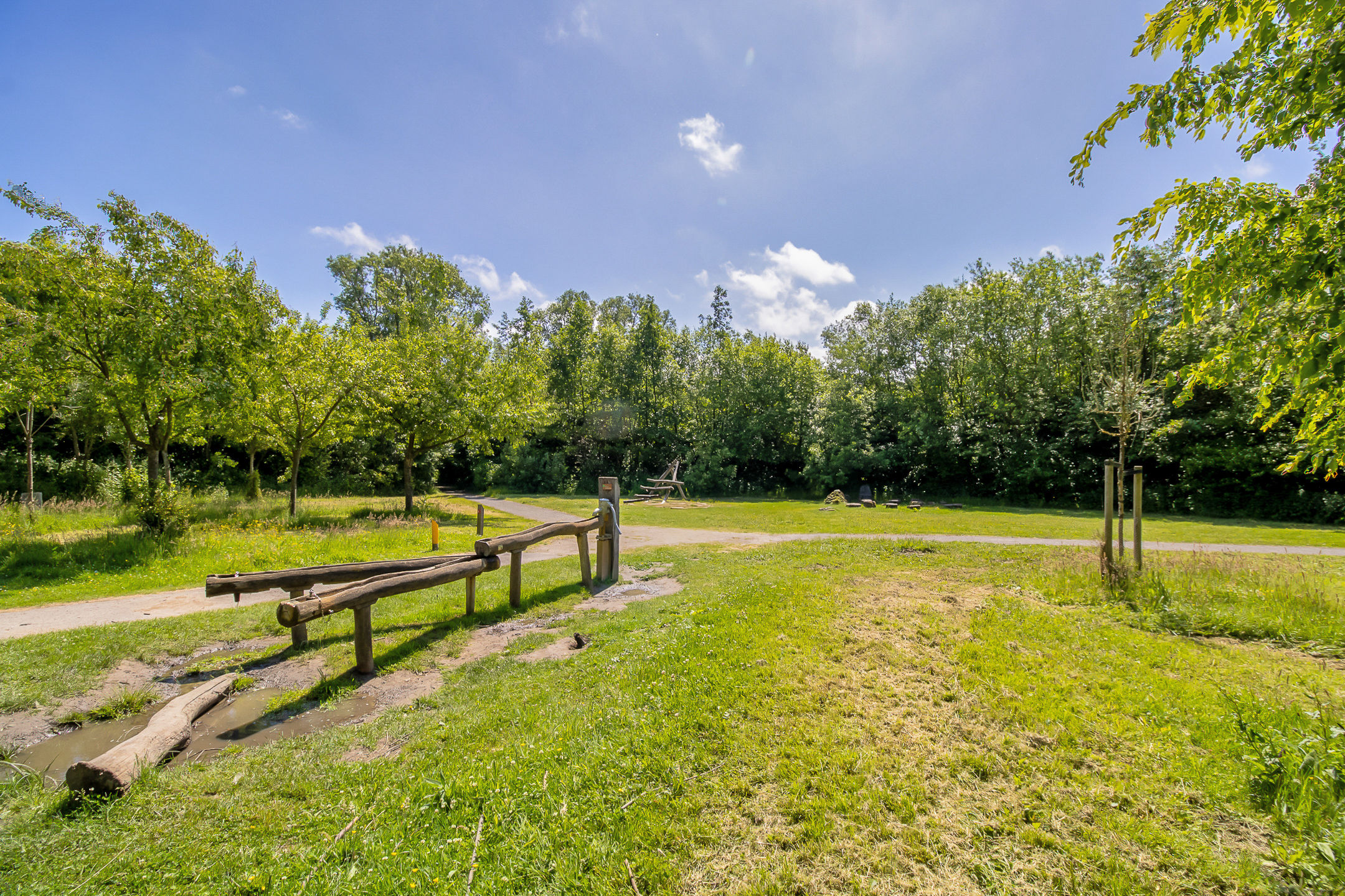 Foto 39 van Amaranthout 5