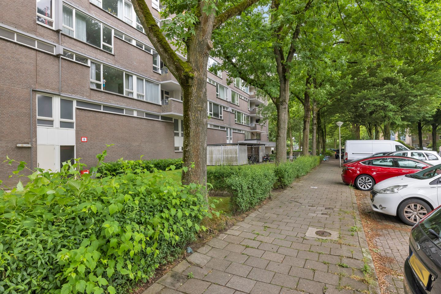 Photo 29 of Kruisakker 6