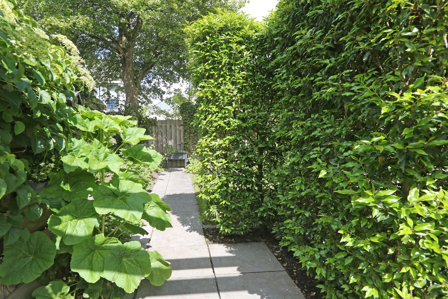 Foto 29 van Kuipersweg 67