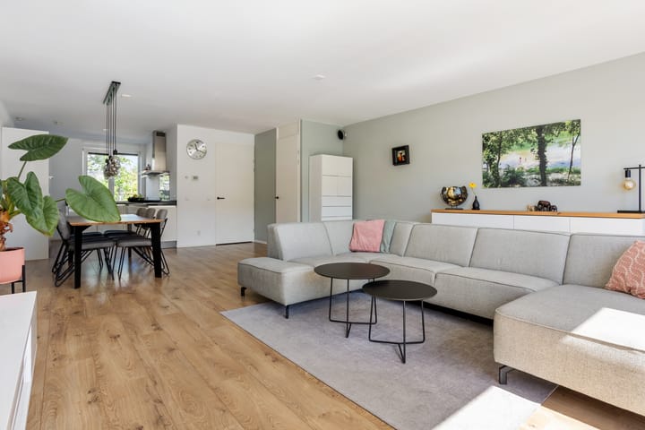 Foto 8 van Corsica 46