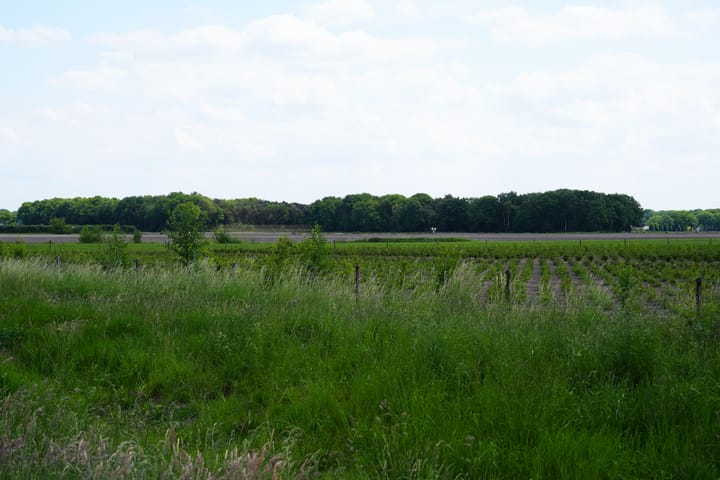 Foto 58 van Schorsmolenstraat 7