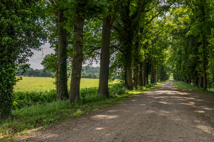 Photo 108 of Wageningsestraat 2-A