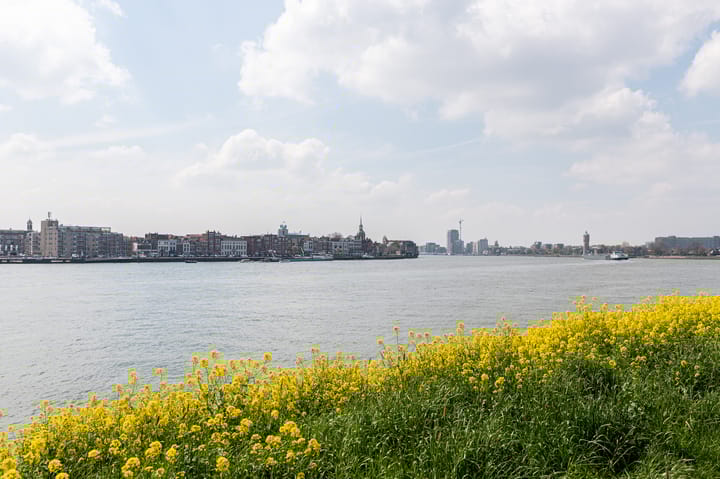 Photo 24 of Merwehoofd 79