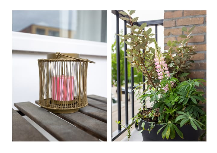 Foto 20 van Banckertlaan 109