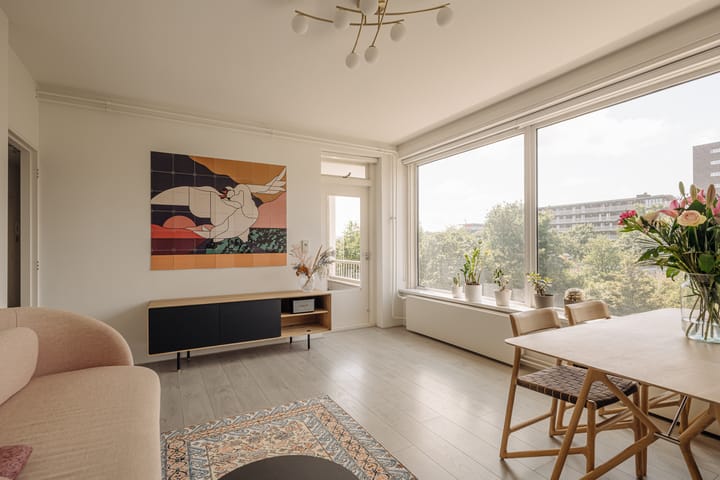 Foto 1 van Maassluisstraat 336