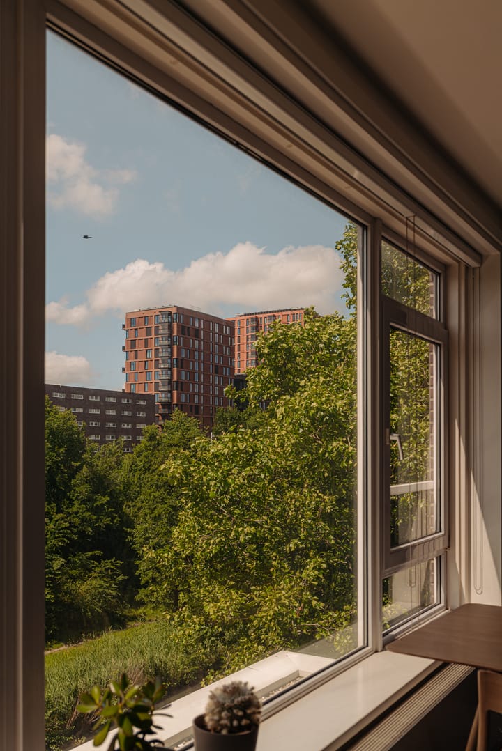 Foto 9 van Maassluisstraat 336